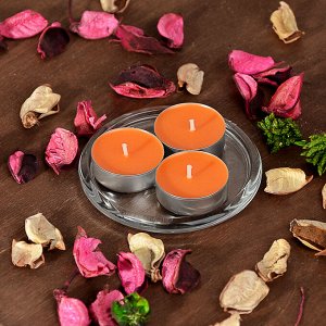 LADECOR Набор свечей чайных ароматических, 6шт, парафин, 5 ароматов