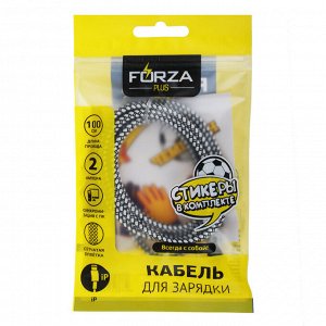 Кабель для зарядки FORZA Футбол, iP, 1м, 2А, стикеры в комплекте, 2 цвета