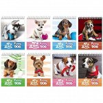 Блокнот А7 40л. на гребне BG &quot;Funny puppy&quot;, выборочный лак