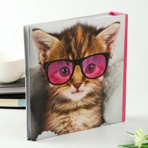 Фотоальбом на 200 фото 10х15 см "Котёнок в очках"