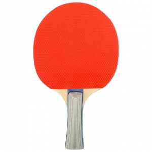 Ракетка для настольного тенниса TACTICS, цвета МИКС