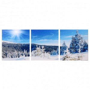 Модульная картина "Снежный склон" (3-35х35) 35х105 см