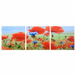 Модульная картина "Полевые цветы" (3-35х35) 35х105 см