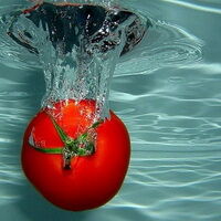 HYDROPOM (Гидропом) - энзимный гидролизат кожуры томатов