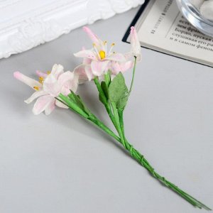Лилии с бутоном, набор 5 шт Розово-белые 8 см