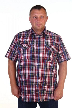 МТ0803 Рубашка мужская кор.р шотландка