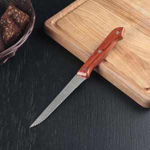 Нож «Универсал», зубчатое лезвие 12,5 см, цвет коричневый