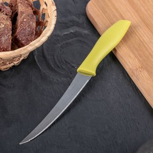 Нож кухонный «Ария», зубчатое лезвие 12 см, цвет МИКС