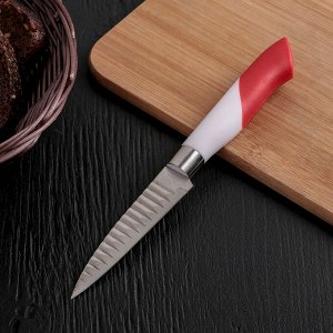 Нож кухонный "Краков", лезвие 10 см
