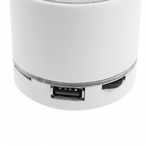 Портативная колонка LuazON Hi-Tech18, 3 Вт, 520 мАч, microSD, USB, белая