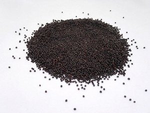 Мицуна (Мизуна) семена микрозелени, 500 г