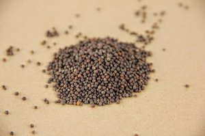 Кольраби семена микрозелени, 100 г