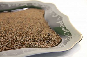 Кале (кейл) кудрявая семена микрозелени, 100 г