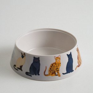 Миска Cats, 0,3 л