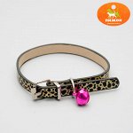 Ошейник &quot;Ромашка&quot; 30 х 1 см, искусственная кожа, микс цветов