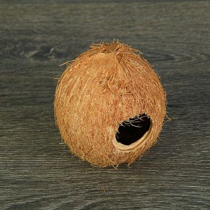 Скорлупа кокосовая целая для рептилий и грызунов, L