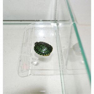 Плот для черепах пластиковый, на стенку, средний, 19 х 15 х 12 см