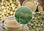 Гликогены: зелёная гречка, булгур, киноа