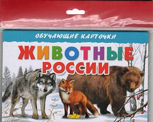 Карточки (европодвес). Животные России 