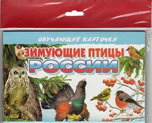 Карточки (европодвес). Зимующие птицы России 