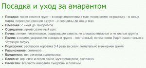 Амарант Бронзовые стрелы