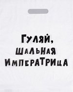 Пакет 31 х 40 см.