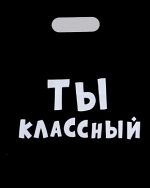 Пакет 31 х 40 см.