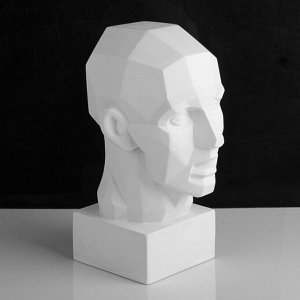 Гипсовая фигура анатомическая «Обрубовка головы по Гудону», 35.5x20.5x24 см