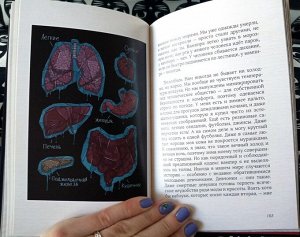 Бессмертная книга вампиров