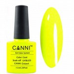 Shellac Canni 140