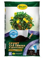 ГР Цитрусовые 5л Цв счастье Фаско 1/5