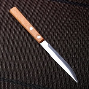 Нож столовый «Эко-стейк», 20 см