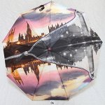 Зонт женский Pasio