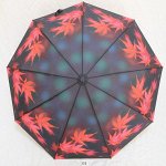 Зонт женский Popular