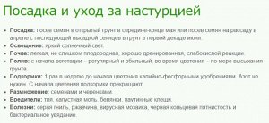 Настурция иноземная Пташечка