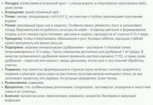 Горох овощной Сахарный принц 25 гр.