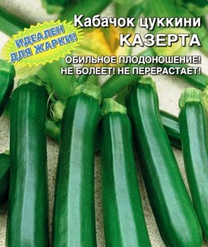 Кабачок цуккини Казерта