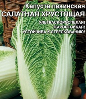 Капуста пекинская Салатная Хрустящая