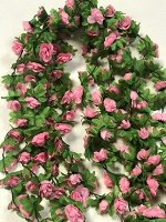 Лиана роза чайная 1,9м бутон 4 см. Цвет светло-розовый.