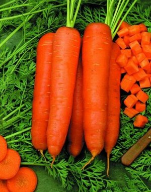 Морковь Скарла