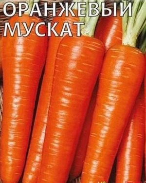 Морковь Оранжевый мускат