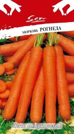 Морковь Рогнеда (2г)