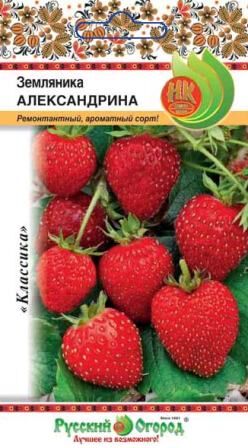 Земляника Александрина (0,05г)