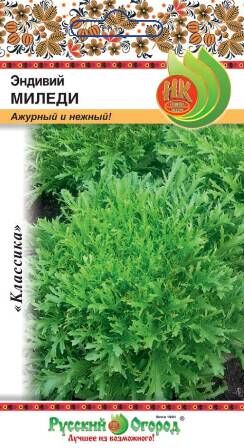 Салат листовой Эндивий Миледи (0,5г)