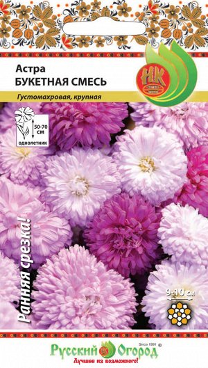 Цветы Астра Букетная смесь (50шт)