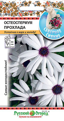 Цветы Остеоспермум Прохлада (15шт)