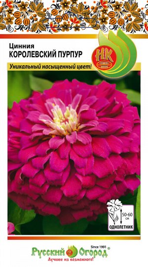 Цветы Цинния Королевский пурпур (5шт)