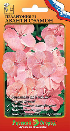 Цветы Пеларгония Аванти сэлмон F1 (5шт)