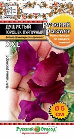 Цветы Душистый горошек Русский размер пурпурный (6шт)