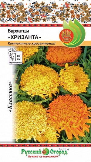 Цветы Бархатцы Хризанта (40шт)